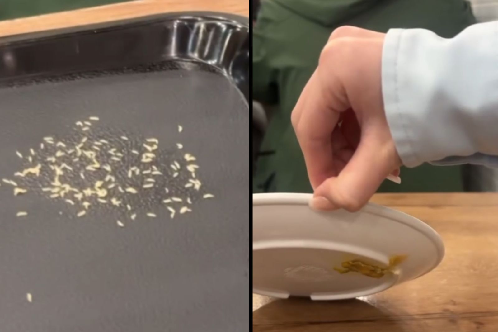 有夠噁！永和豆漿店「托盤上滿滿都是蛆在蠕動」　顧客嚇壞：乾嘔一整天