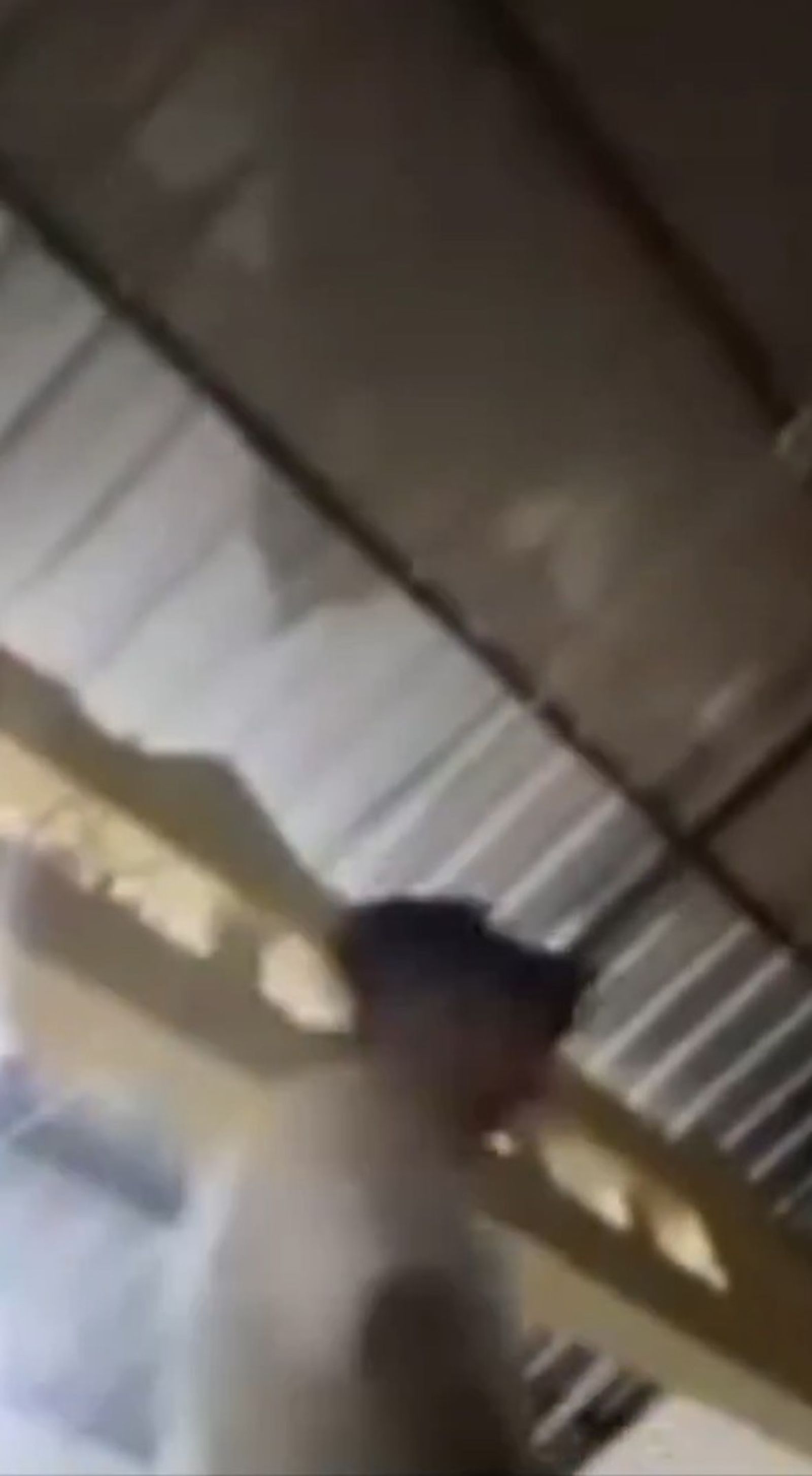 直播還拍到凱拉男友開槍後轉身離去的身影。圖/翻攝自X