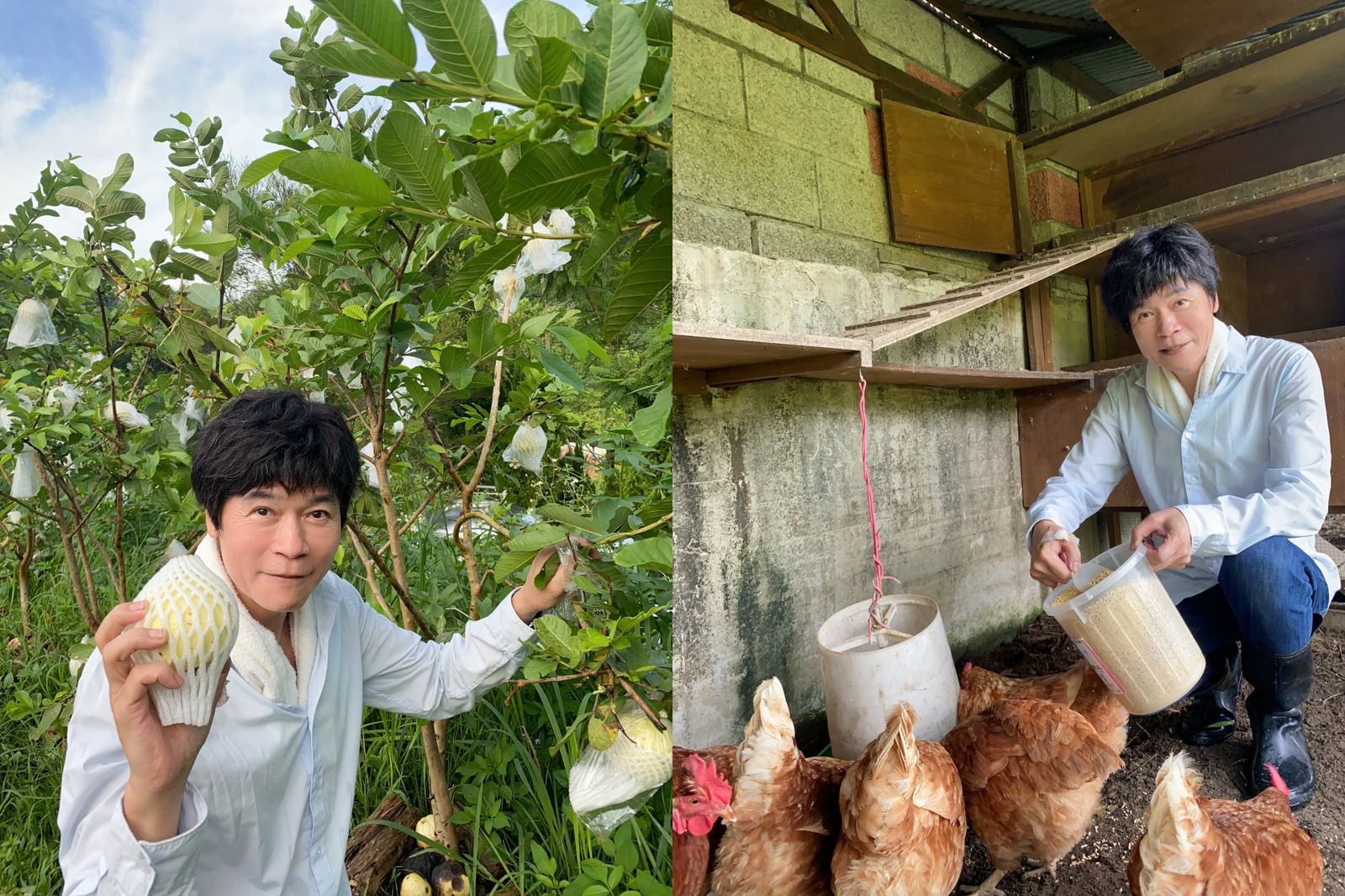 62歲金曲歌王搬家當農夫　洪榮宏笑曝退休生活：每天被公雞叫醒、雞蛋芭樂全靠自己