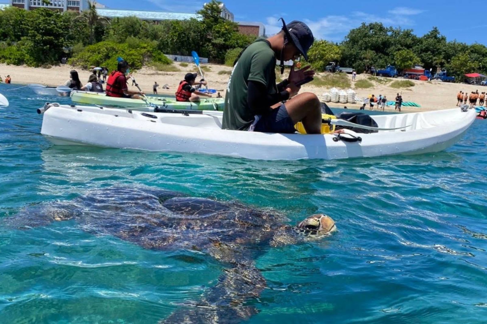 偷摸海龜開罰30萬！小琉球「30守則」實施　全島速限30公里