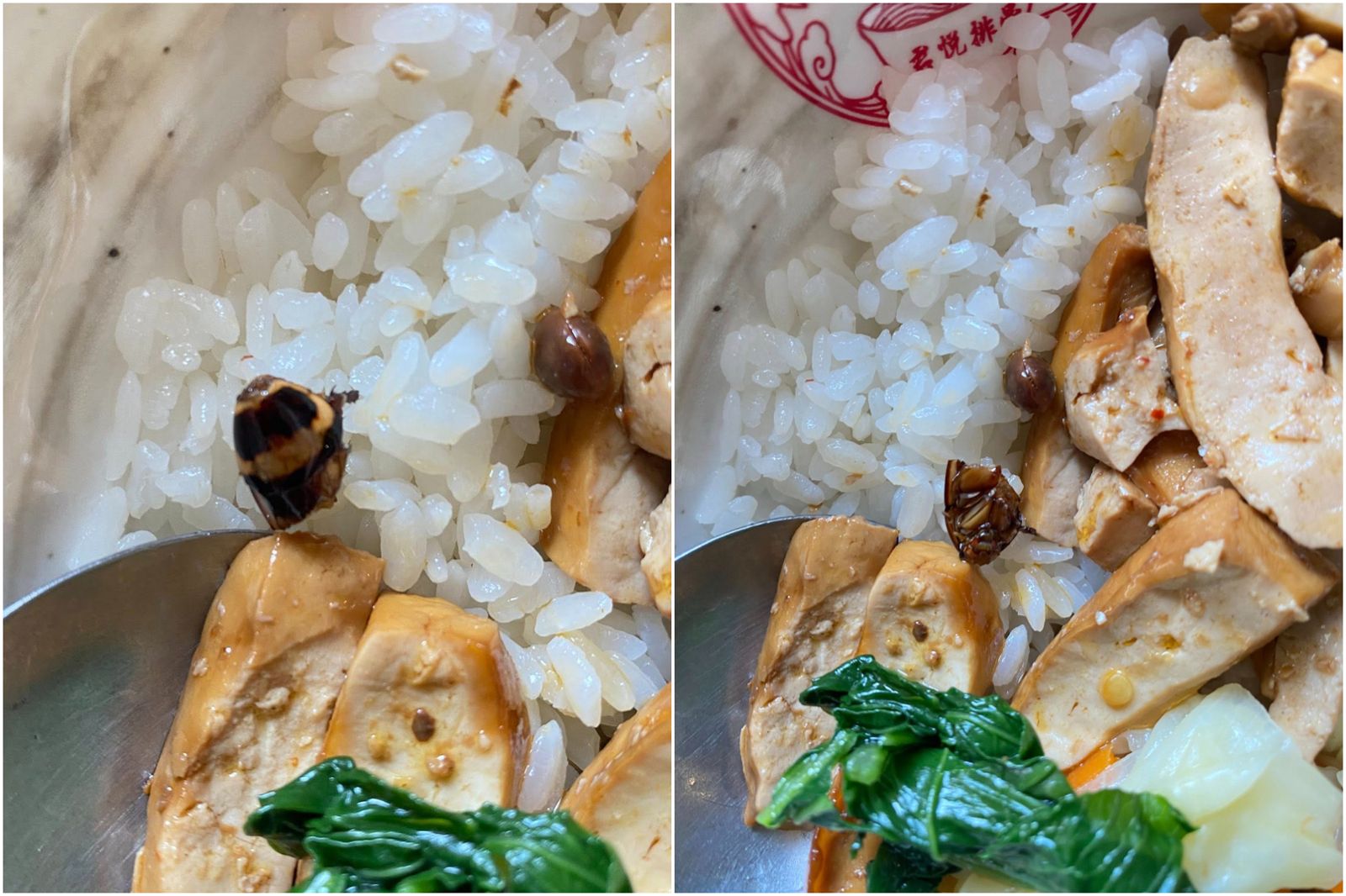 天王排骨飯愛店驚見「蟑螂頭」！店家換新一碗　民眾不解：意義何在　
