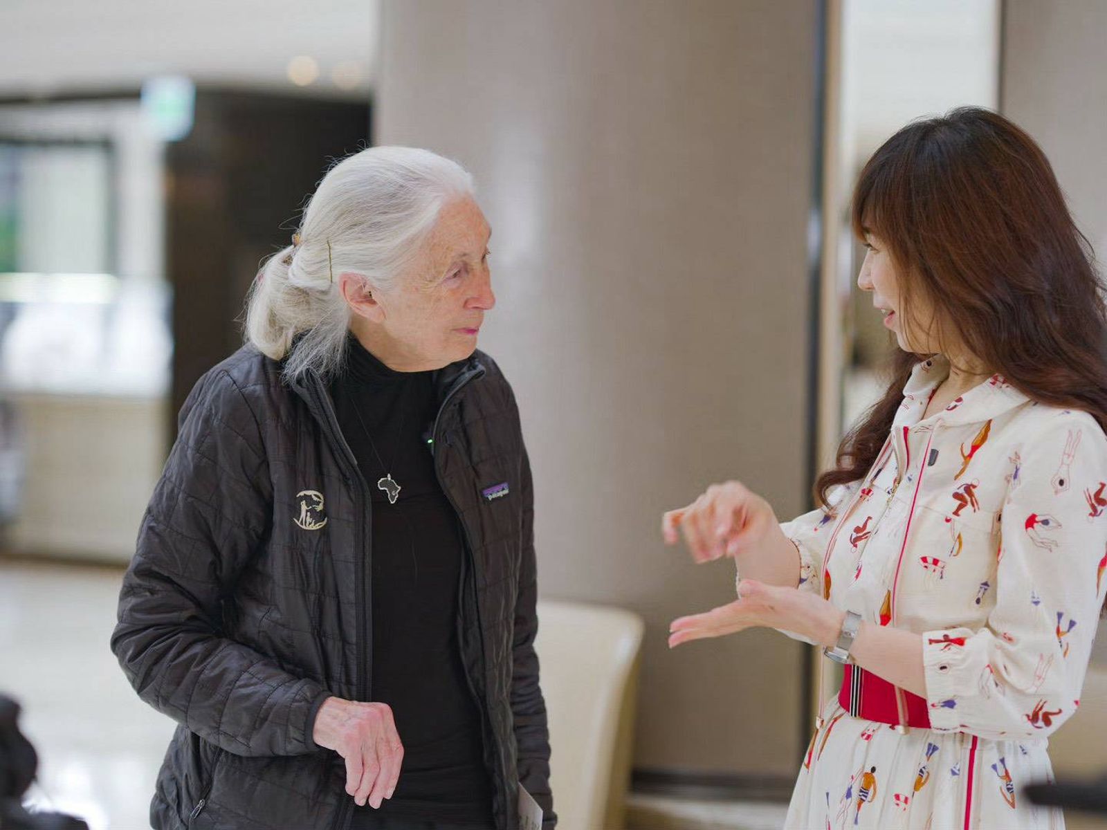 珍古德6月來台笑答「下段旅程是死亡」 白心儀曝91歲博士「小女孩的一面」