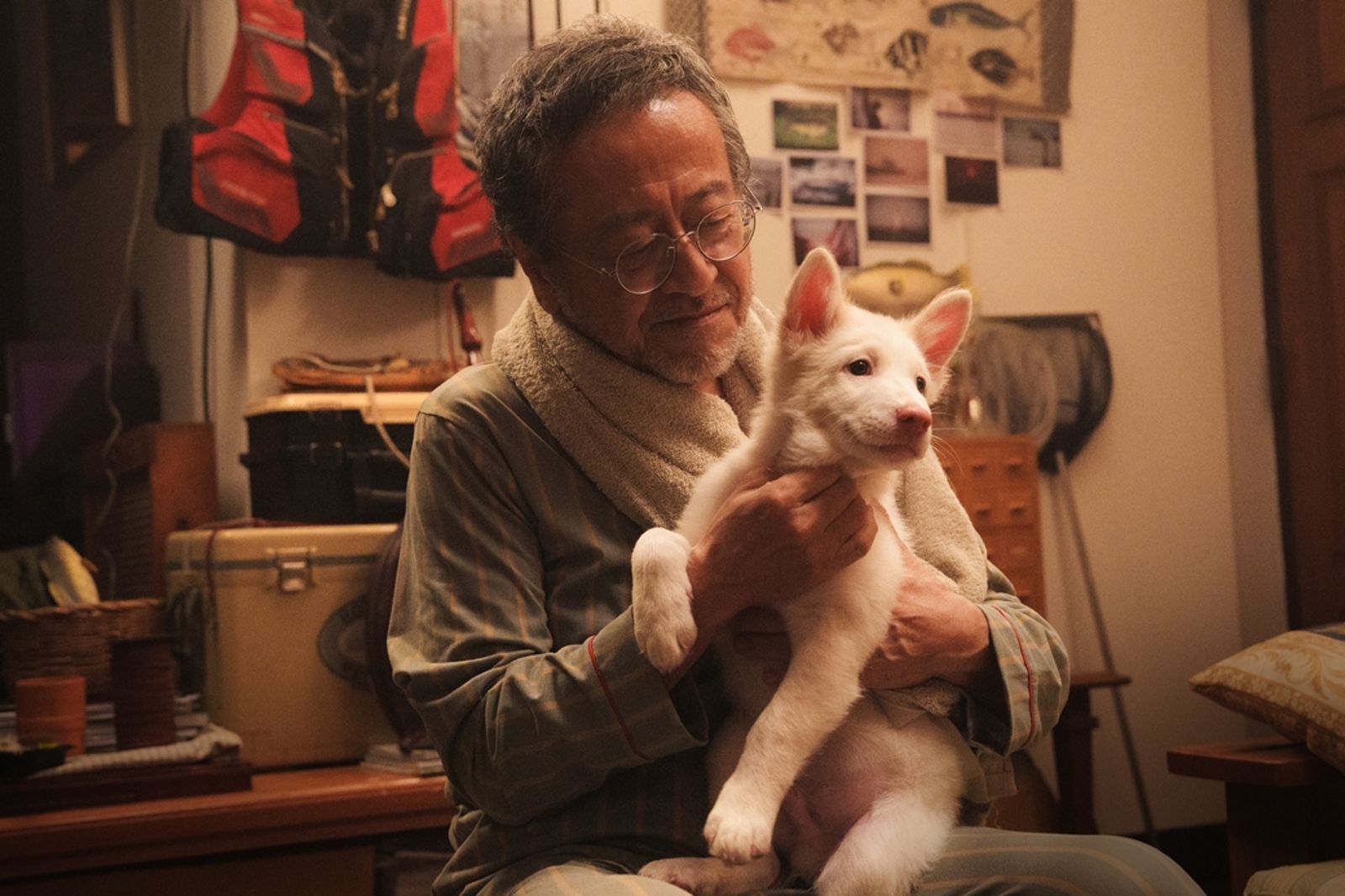 《金孫》製片再出手!粉鼻流浪狗「悟飯」10年催淚旅程 養狗人必潰堤