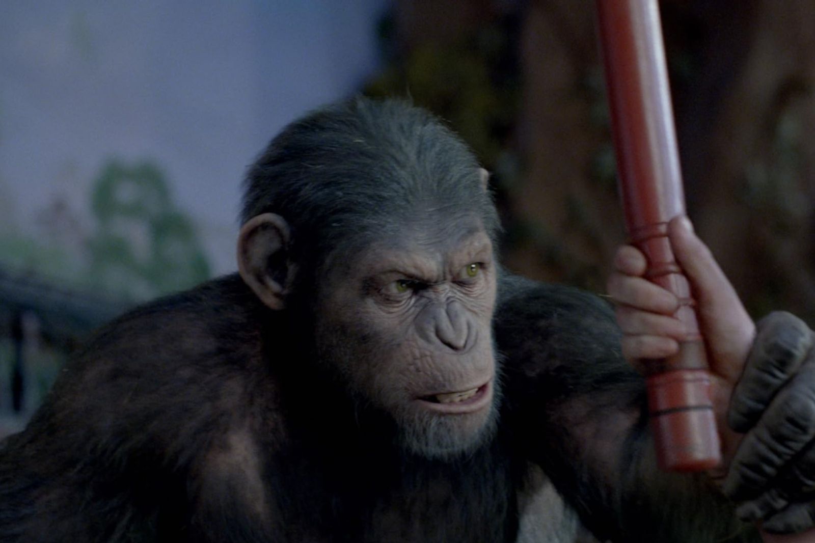 現實版《猩球崛起》？黑猩猩「做長矛刺殺獵物」　學者驚呆了