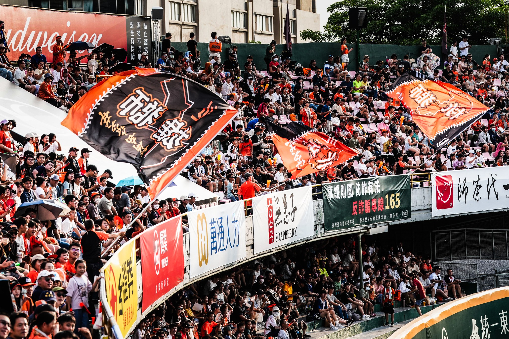 中職／丹娜絲颱風肆虐南台灣　一軍6場賽事受影響