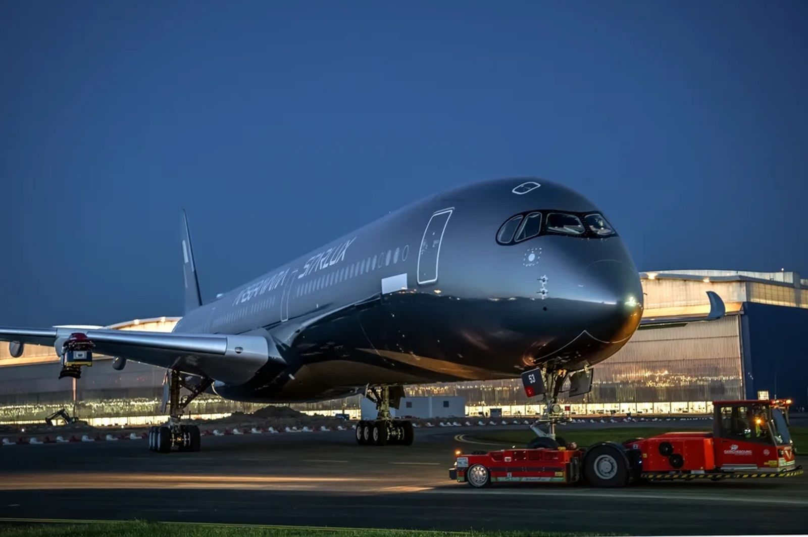 星宇航空藝術機交機!張國煒親駕「空山銀」返台 5日上午抵桃機