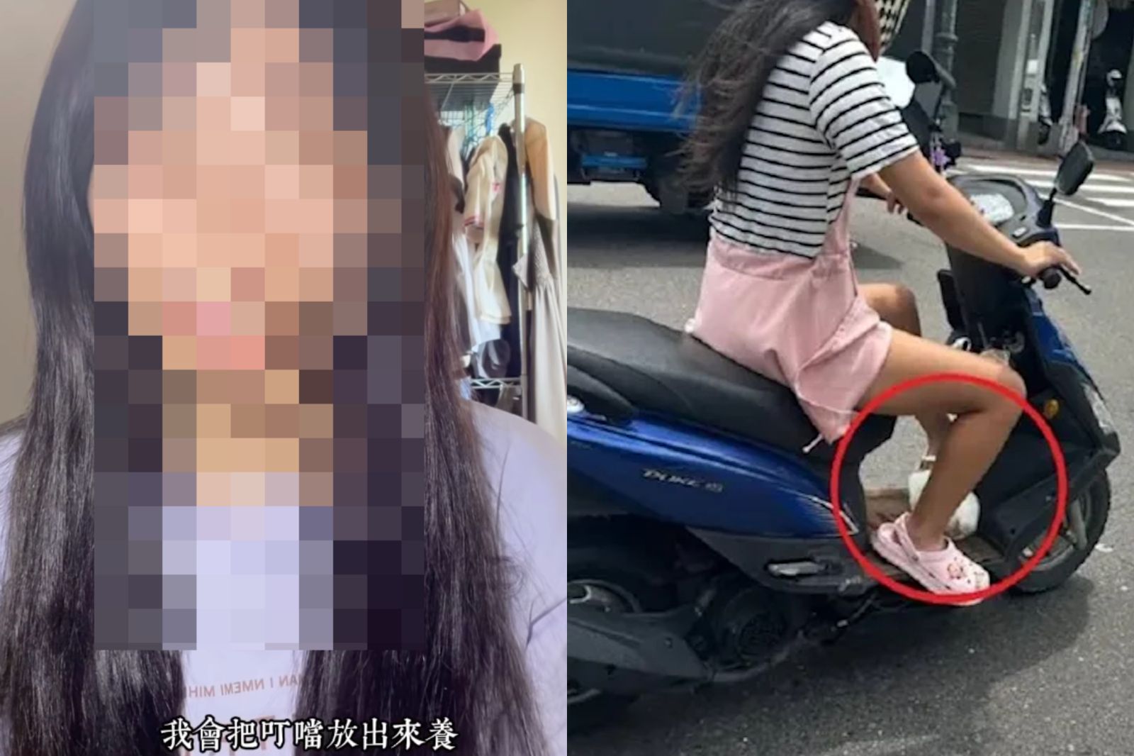 婉晴日前因虐兔遭炎上。圖/翻攝自婉晴IG