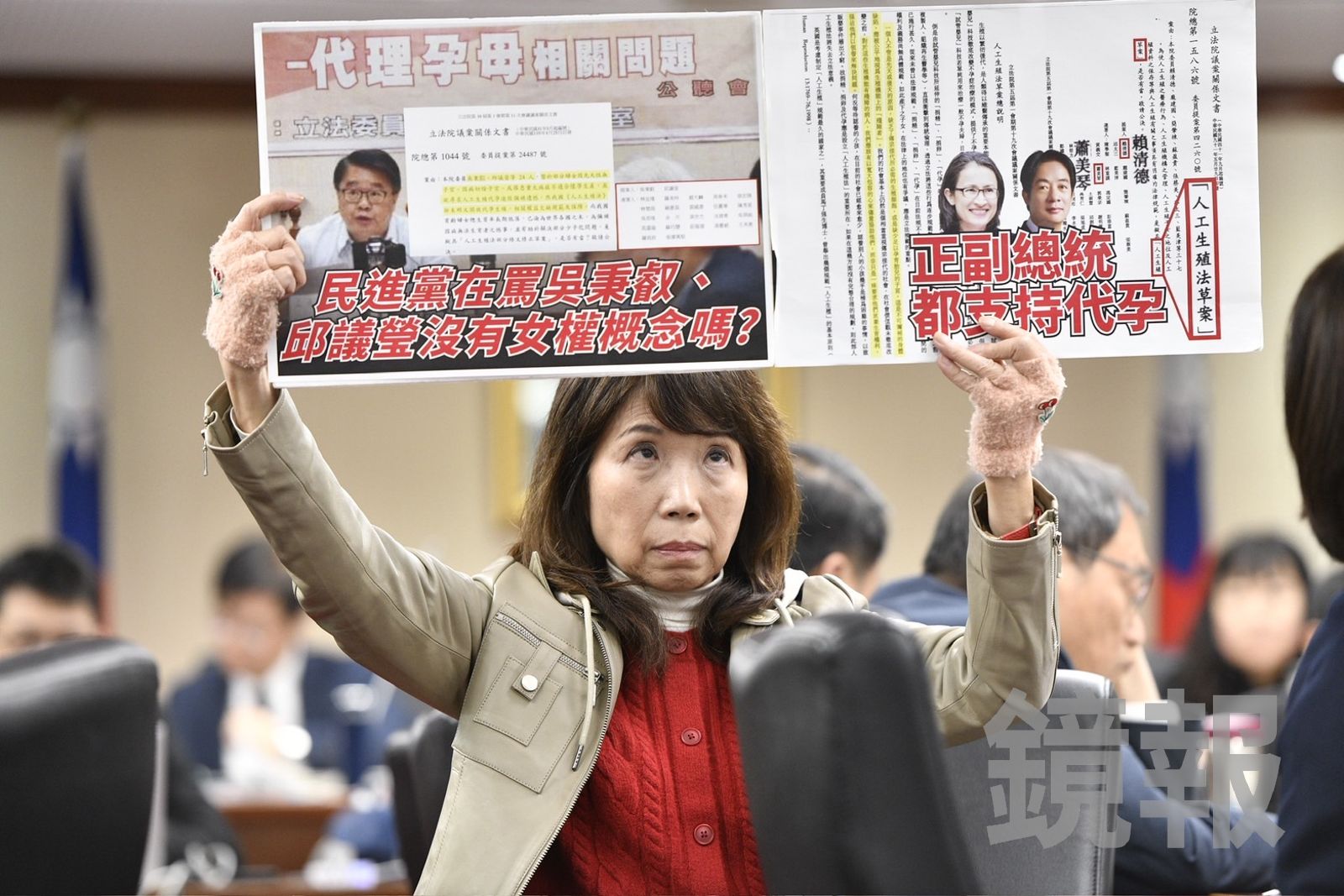 林淑芬批代孕修法草率辣嗆「陳九條」　陳昭姿舉牌反擊：在罵賴清德沒女權概念？