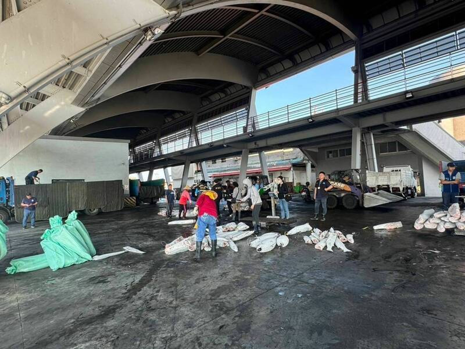 遠洋漁船「連有發」違法獵捕海豚　船長遭起訴、漁工緩起訴