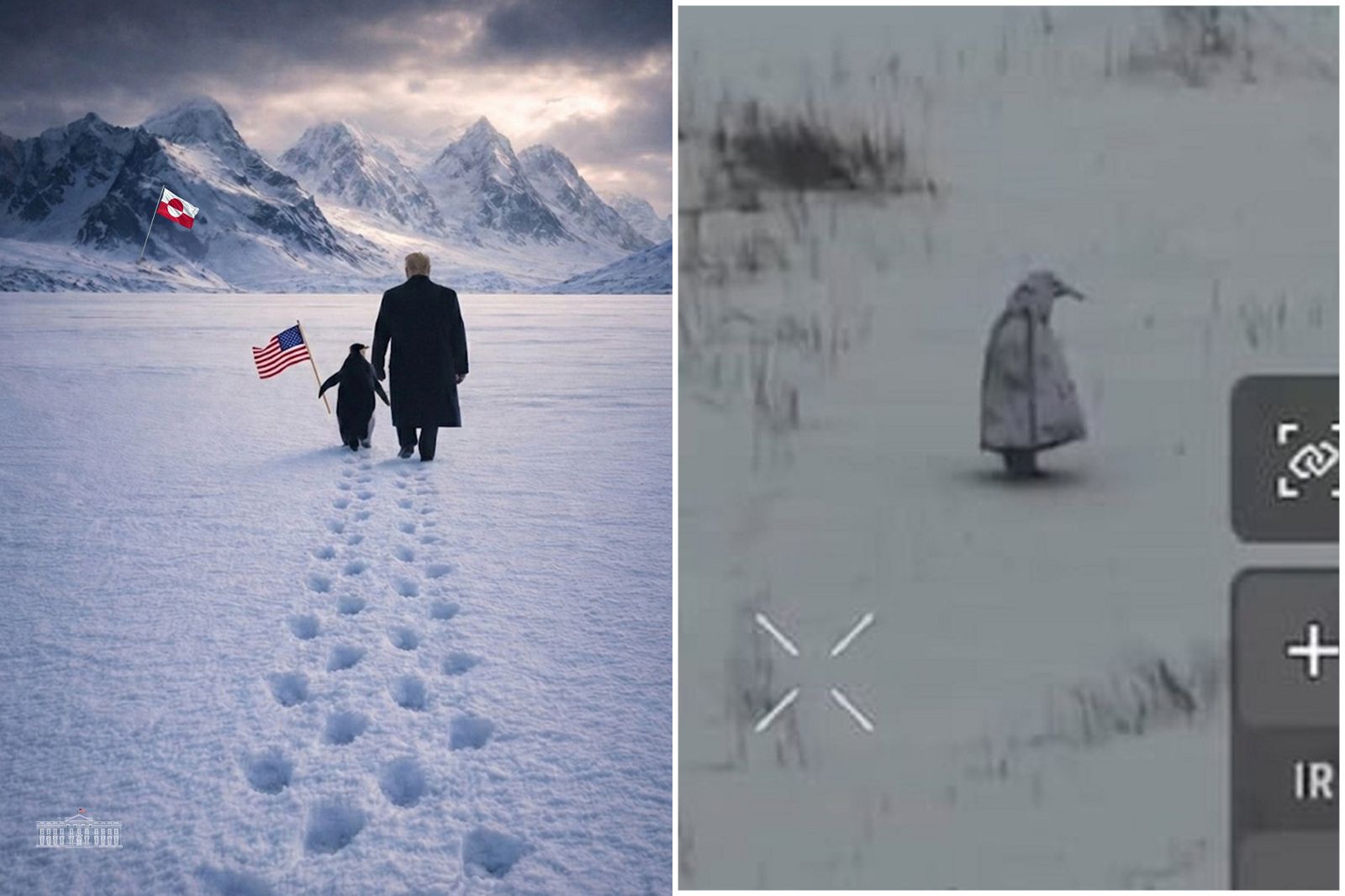 川普牽「北極企鵝」是對的？原來是俄兵扮「間諜企鵝」　探敵情遭殲滅