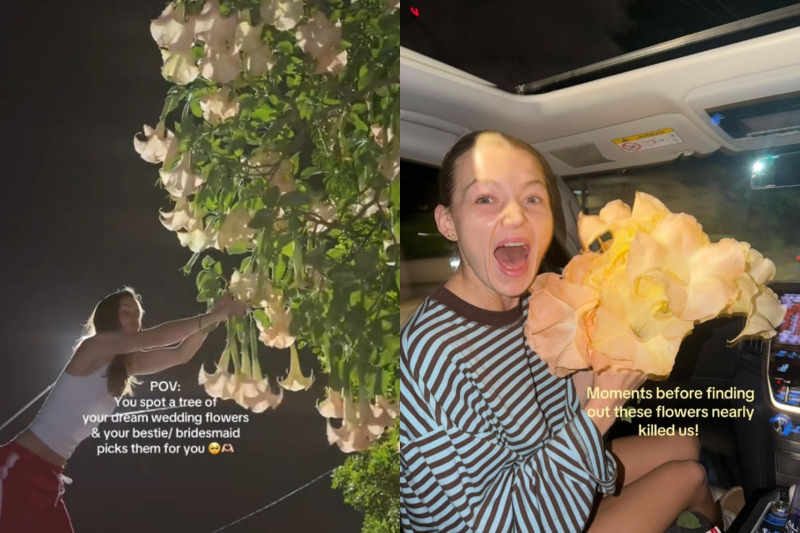 準新娘路邊摘「夢幻婚禮花」…差點害死賓客!她上網一查嚇壞:有劇毒