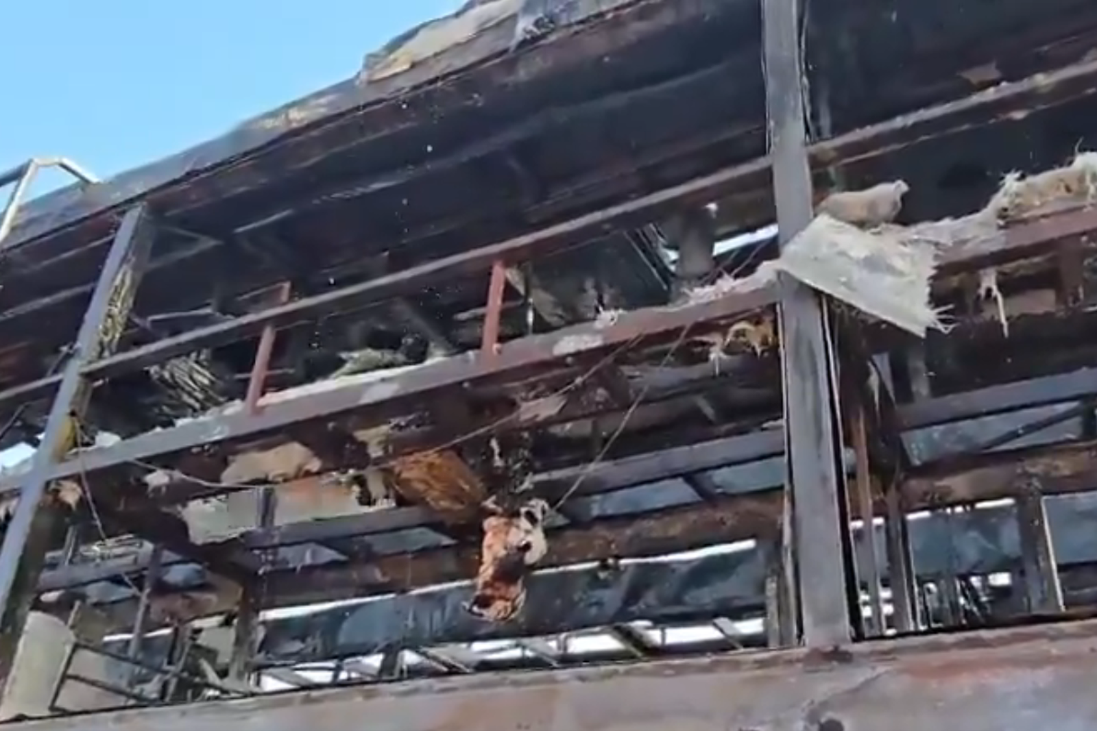 車身燒剩骨架，火勢相當猛烈。圖／X@jaggirm