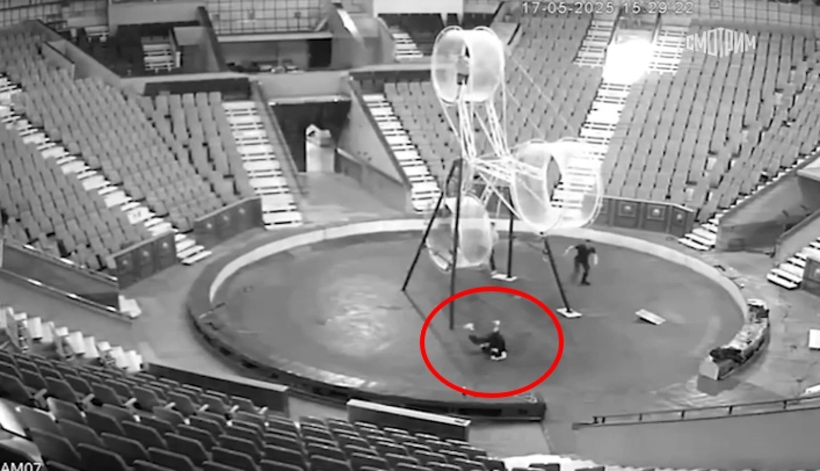 馬戲團「真．死亡之輪」！22歲特技女4公尺高墜落　頭頸重創慘死