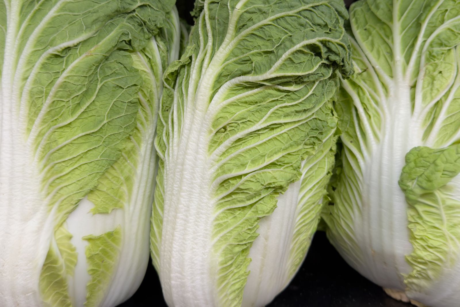網憂「甲醛白菜」洗產地流入台灣 食藥署:今年中國白菜輸入0