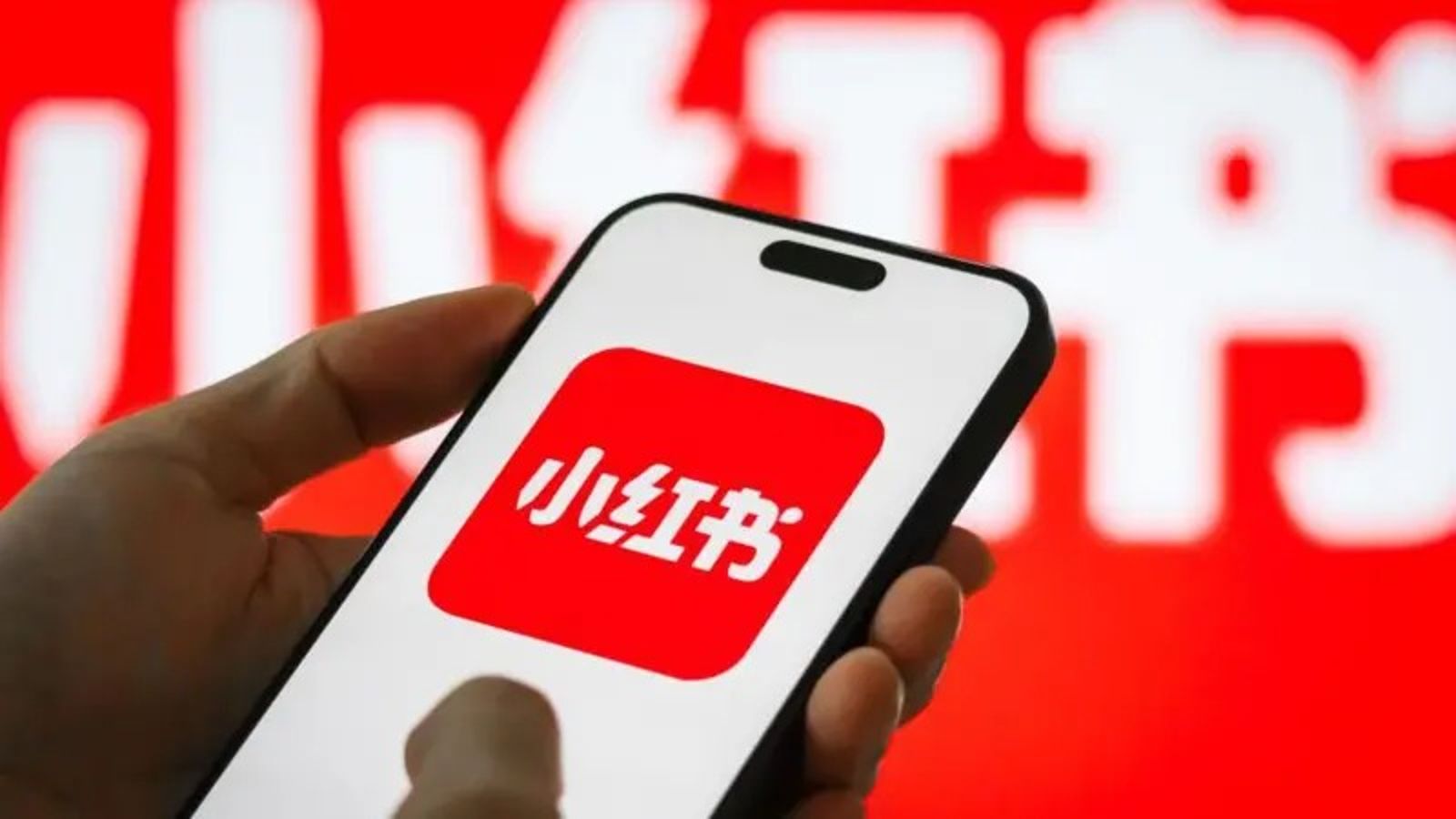 小紅書禁用1年！高嘉瑜曝「民眾最痛恨的事」　律師批：民主國家不應封鎖言論平台