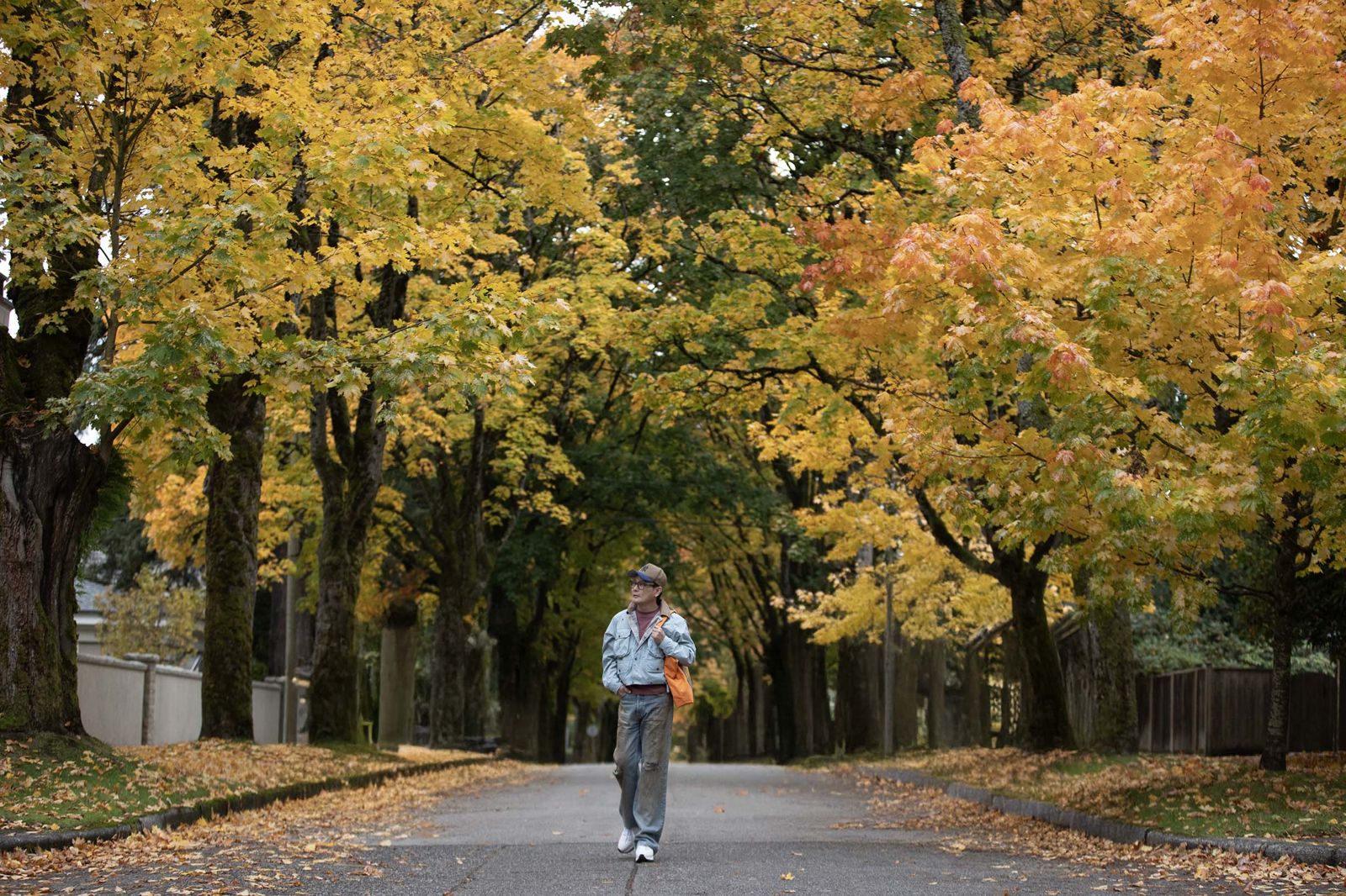 張信哲加拿大溫哥華開唱，順勢欣賞楓紅。潮水音樂提供