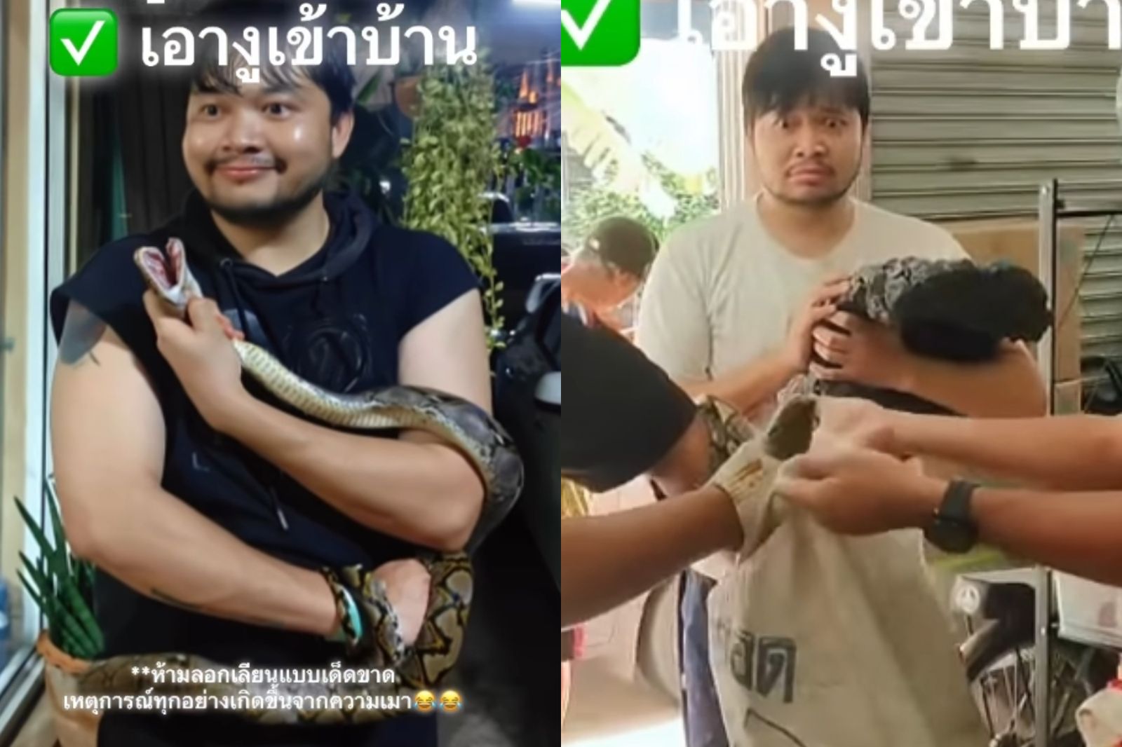男喝醉「抱野生大蟒蛇回家養」!隔天救援人員抵達 他酒醒傻眼:我抓的?
