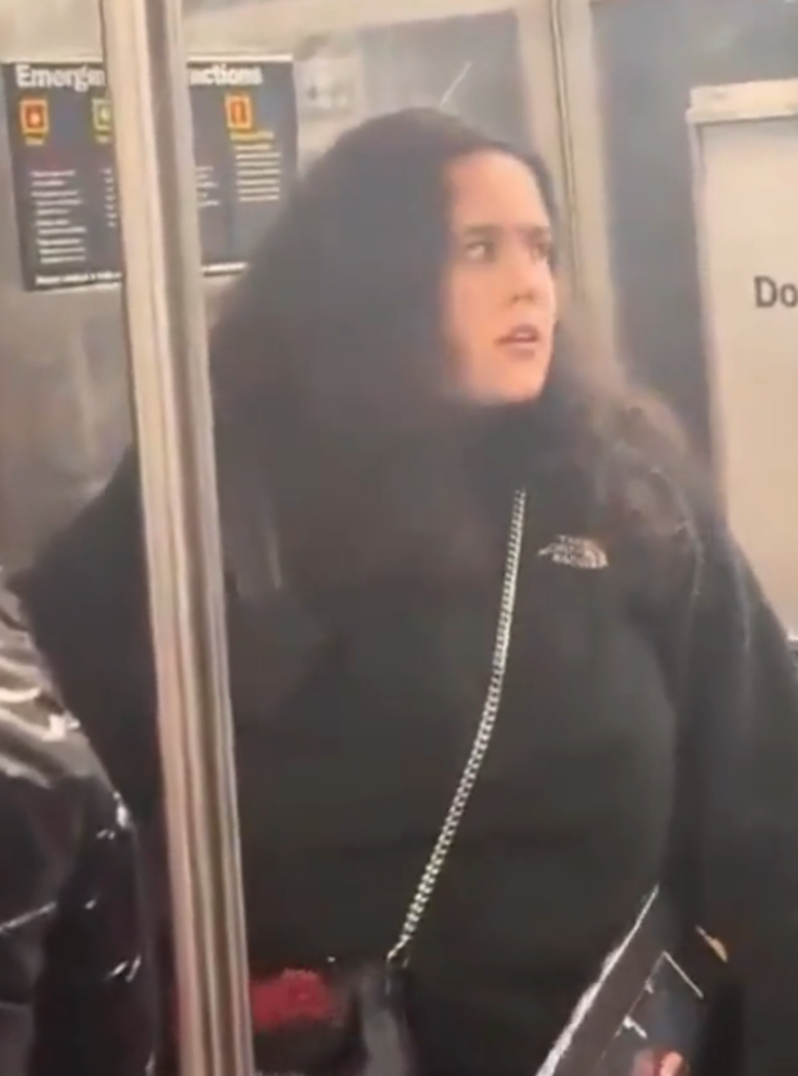 地鐵妹遭黑人女性飆罵15分鐘後神反擊，讓全場氣炸。圖／翻攝自Reddit