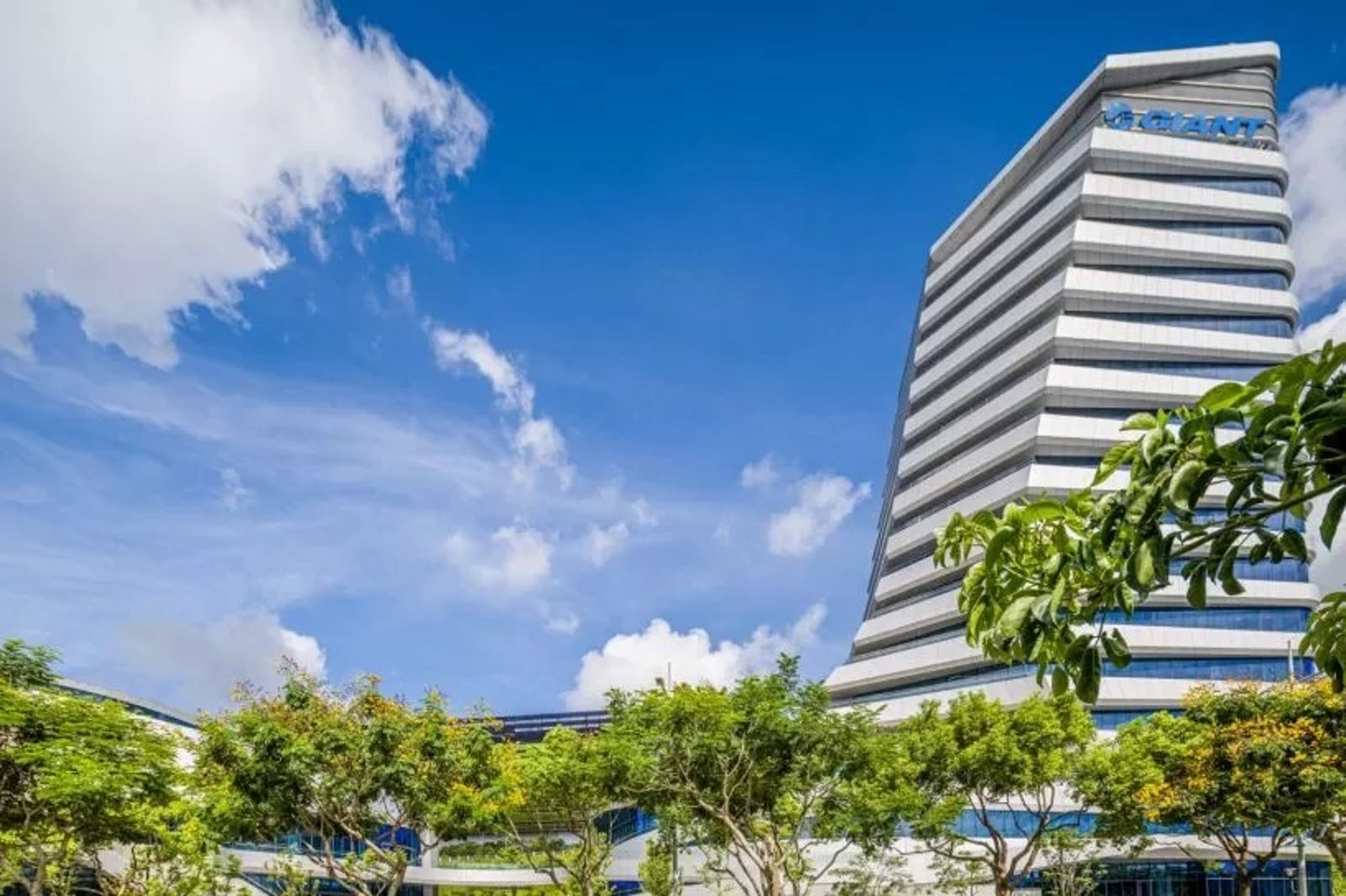 自行車龍頭遭美發布暫扣令　台灣廠生產自行車出口受阻　巨大：將提出申訴撤銷