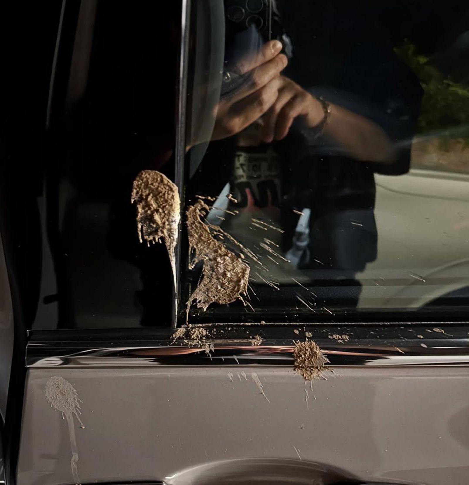 阿弟的車子被鳥屎擊中。翻攝蕭景鴻社群