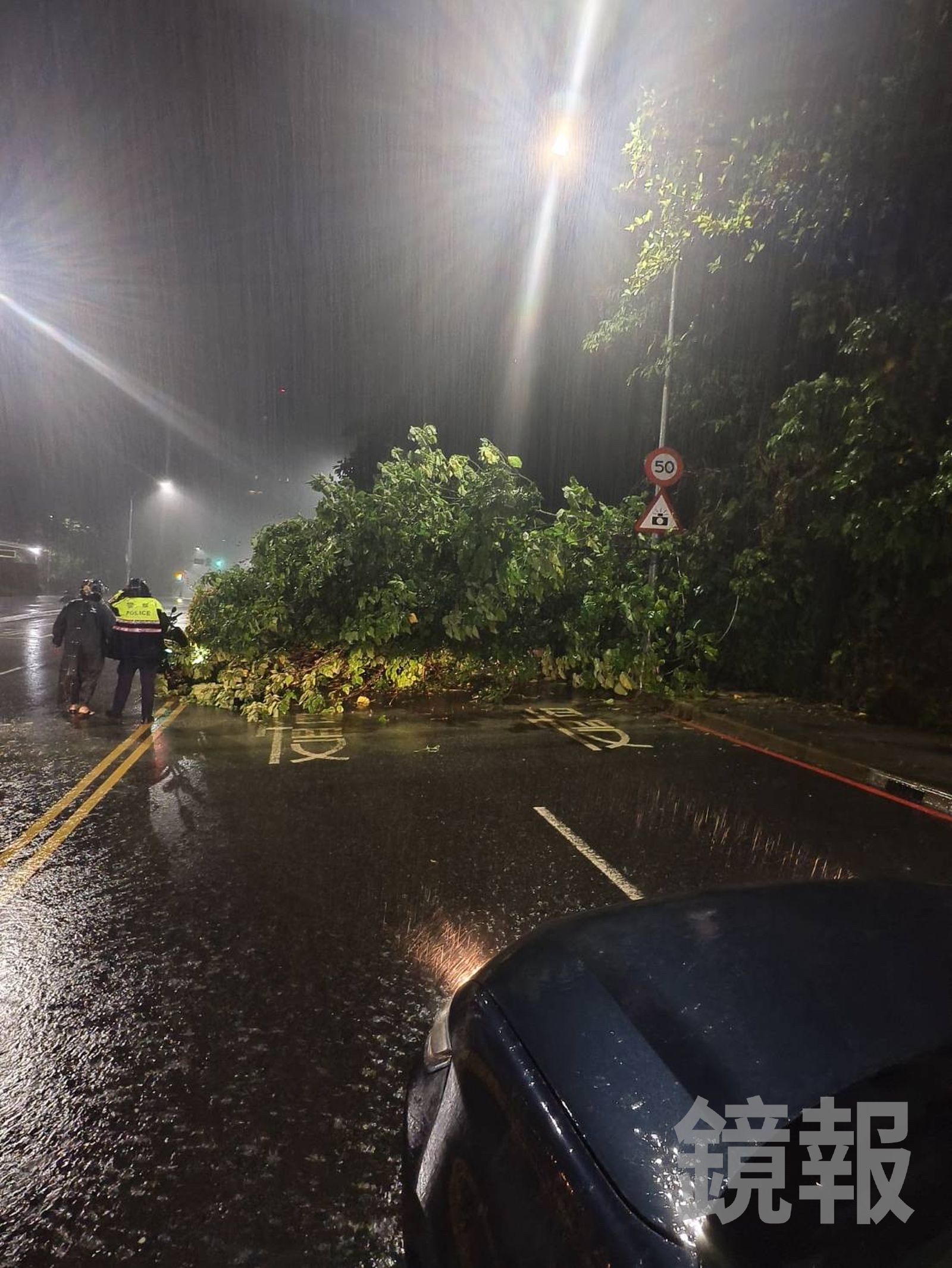 新北汐止路樹凌晨倒塌,公所上午8時緊急派員到場處理。翻攝畫面