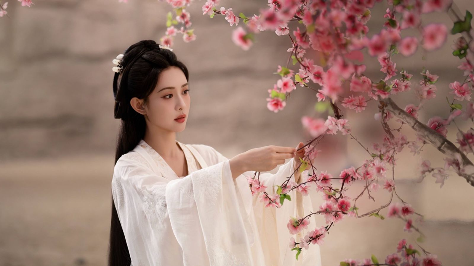 《桃花映江山》孟子義飾演「姜桃花」。愛爾達電視提供