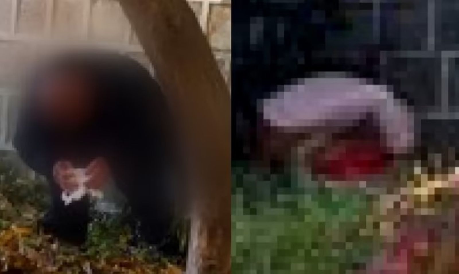 有中國旅客在景福宮外大便。圖/翻攝自JTBC