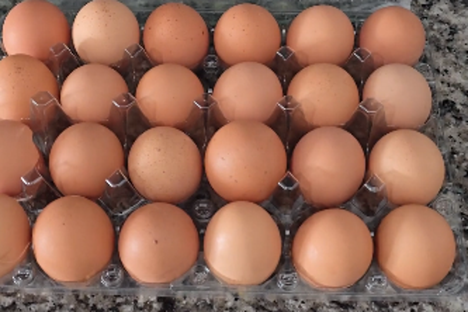 看似平常的雞蛋，拿起竟是拼貼成原狀的空包蛋。圖／翻攝自Reddit