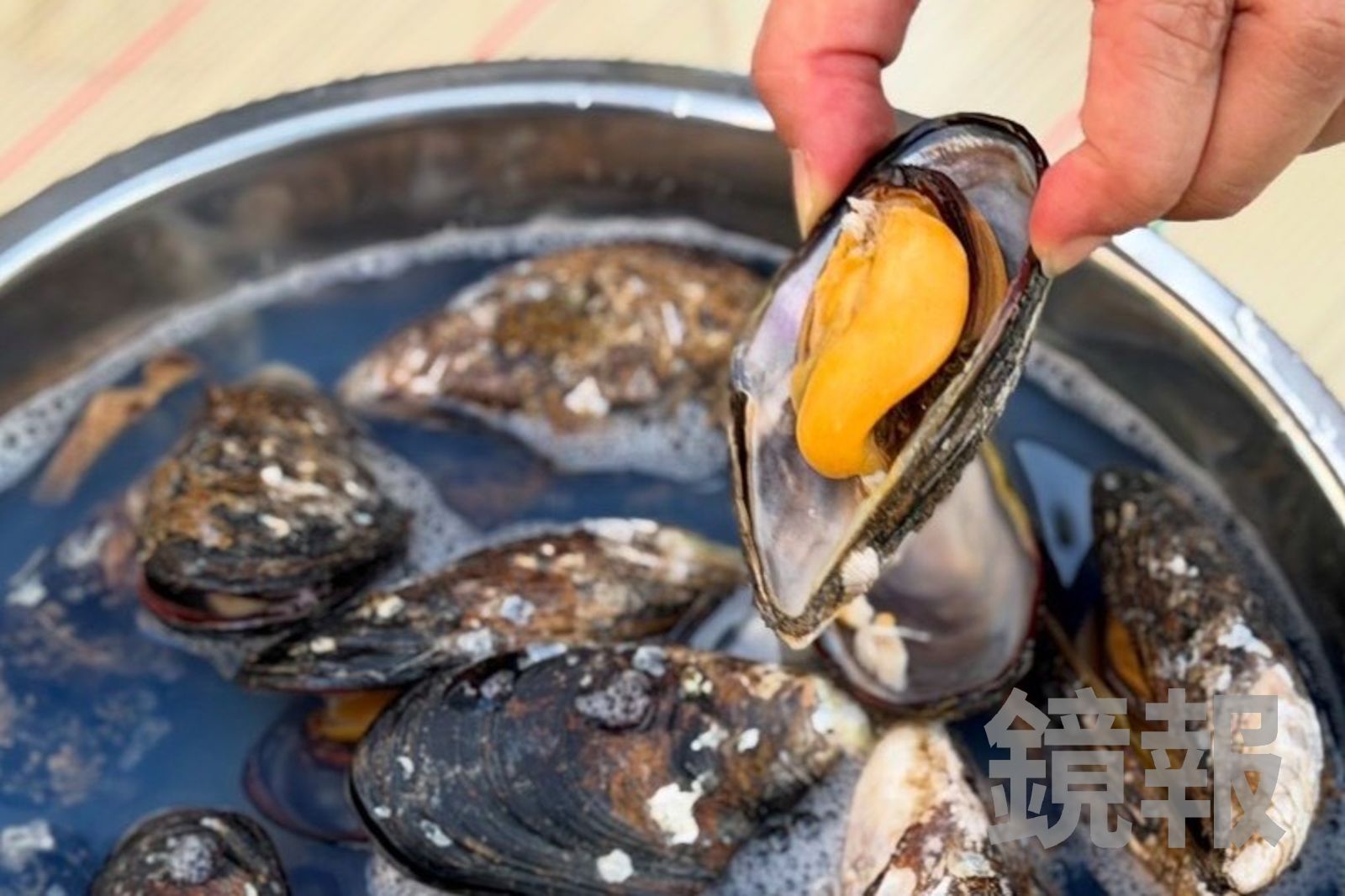 正男報食事/吞痛風藥也甘願!馬祖南竿「阿池現吃淡菜」現撈水煮鮮到爆