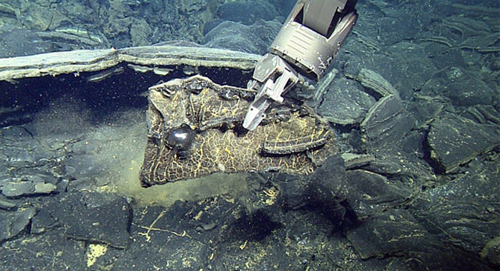 專家稱美西「軸海山」可能隨時爆發、計畫直播爆發過程