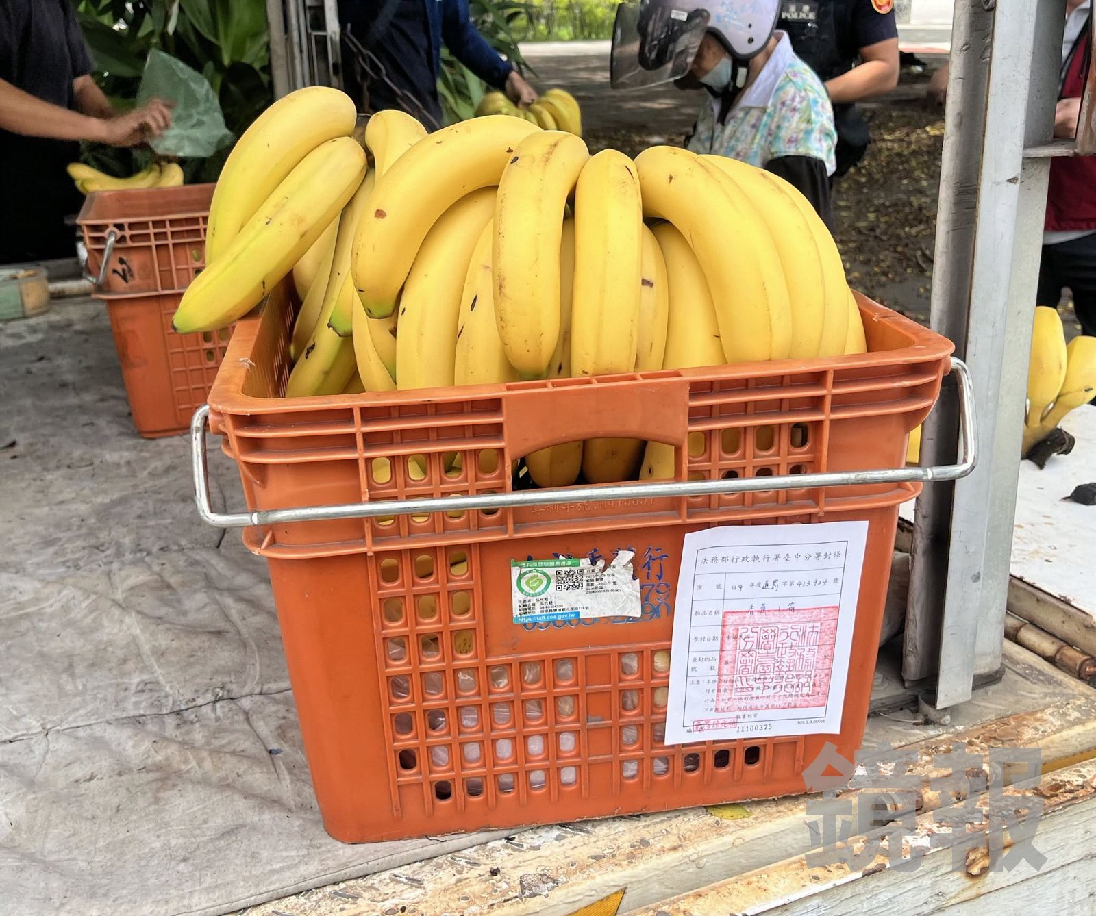 被拍賣的「塑膠水果籃」已貼上封條，因照片有擺放香蕉，瞬間引爆網友爭奪戰，笑稱「我唯一買得起的就是香蕉」。翻攝fb法務部行政執行署臺中分署