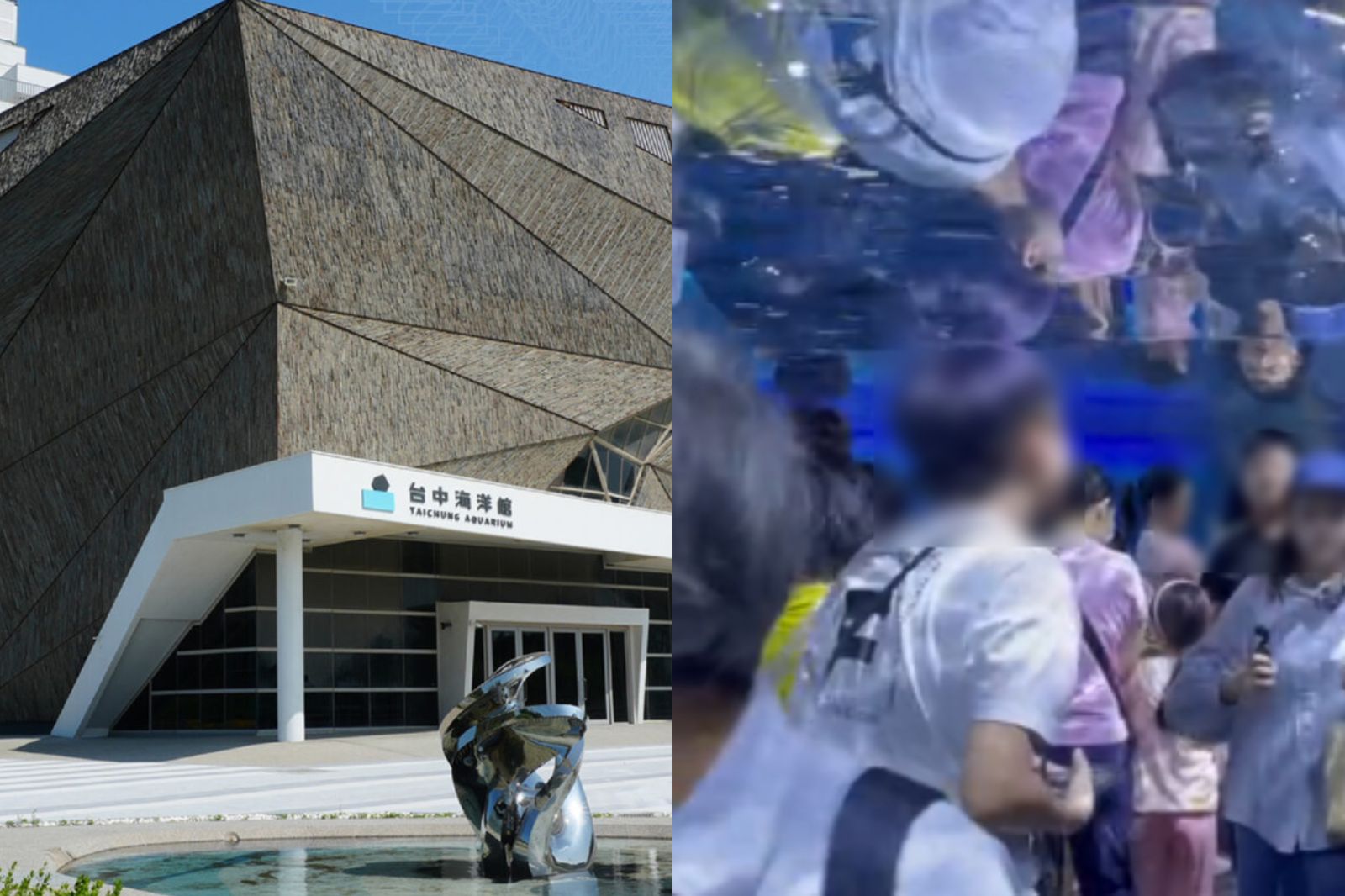 耗資13億「台中海洋館」如何？網批：需彎腰走隧道、像逛「魚中魚」
