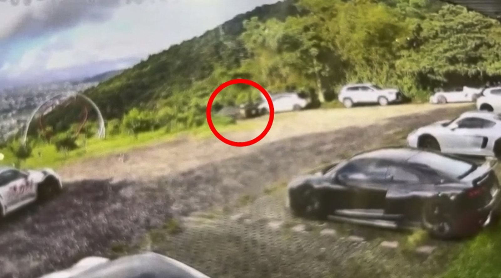 義大利Dallara Stradale千萬超跑停在斜坡處,一路往下滑行後,衝落約一百公尺深的山谷。圖/翻攝畫面