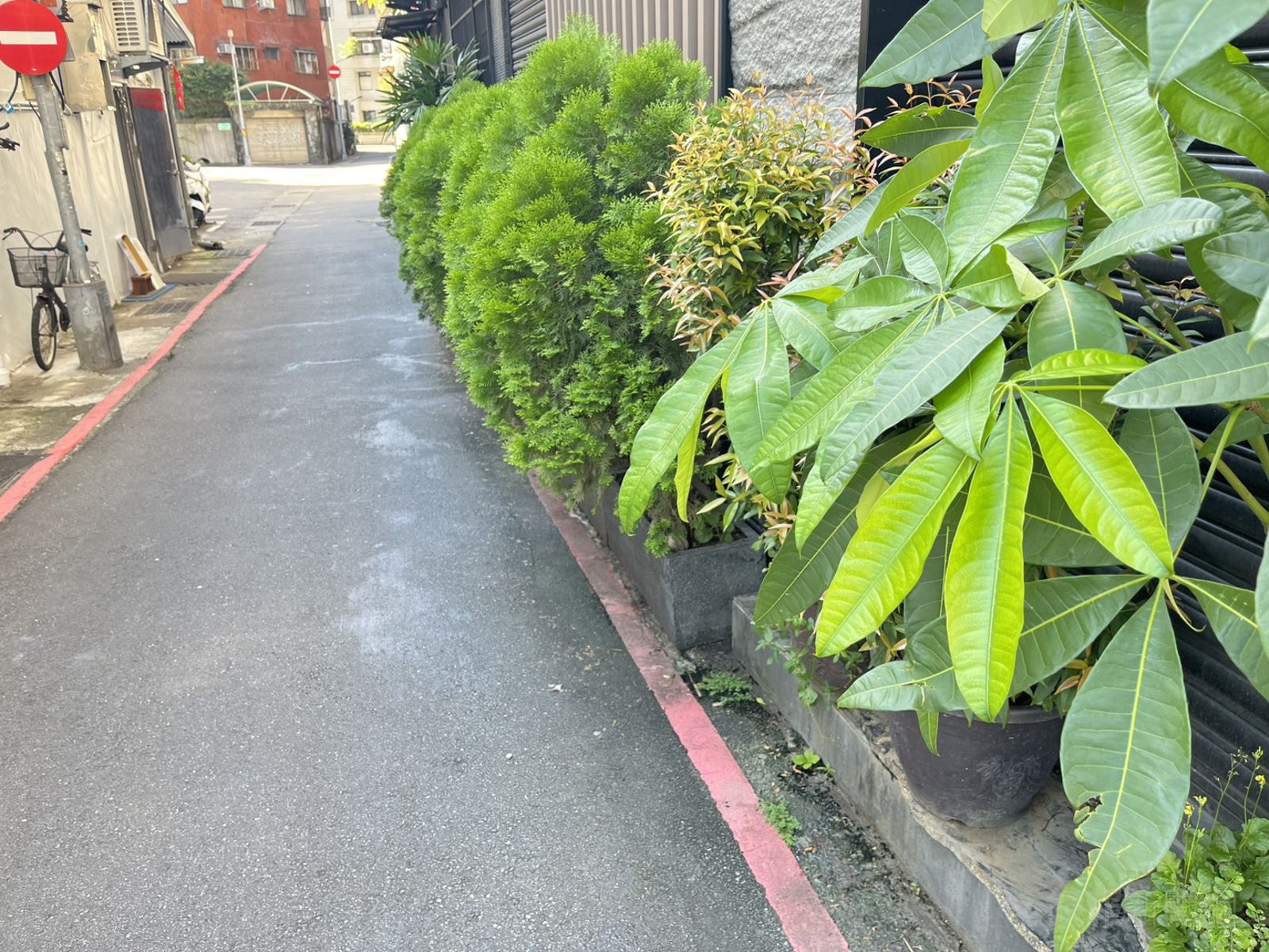 二本松餐廳把花盆擺在外面也被檢舉,但該處實際上是店家土地。李依璇攝