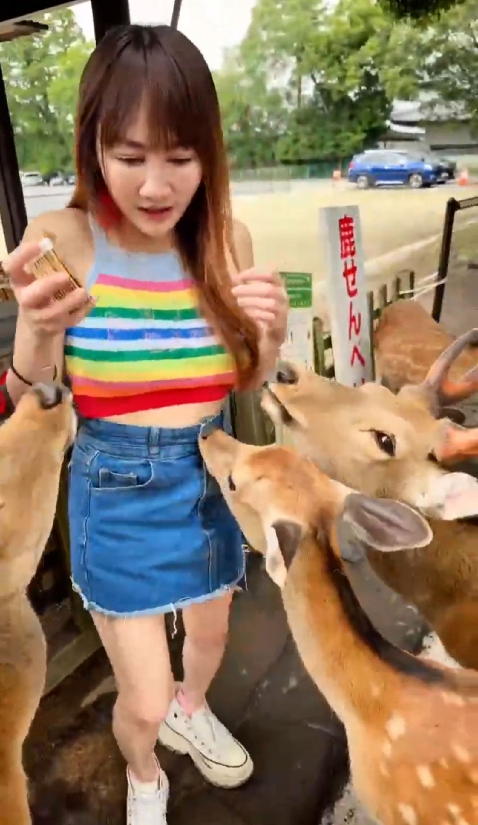 王宥忻被鹿群偷襲屁股。女神愛啪啪 IPAPA提供