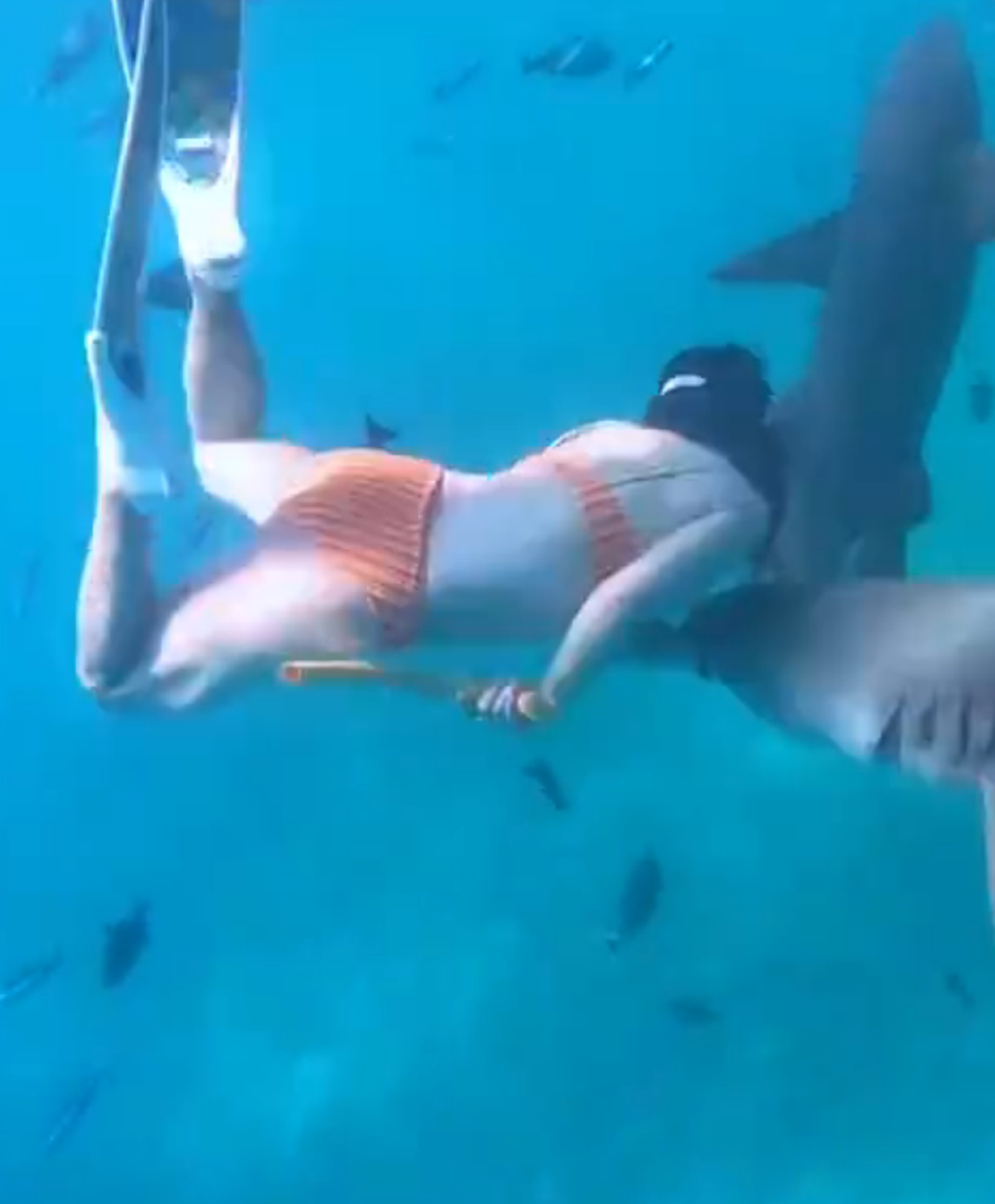 中國女網紅生理期堅持下水，遭鯊魚狠咬。圖／翻攝自微博