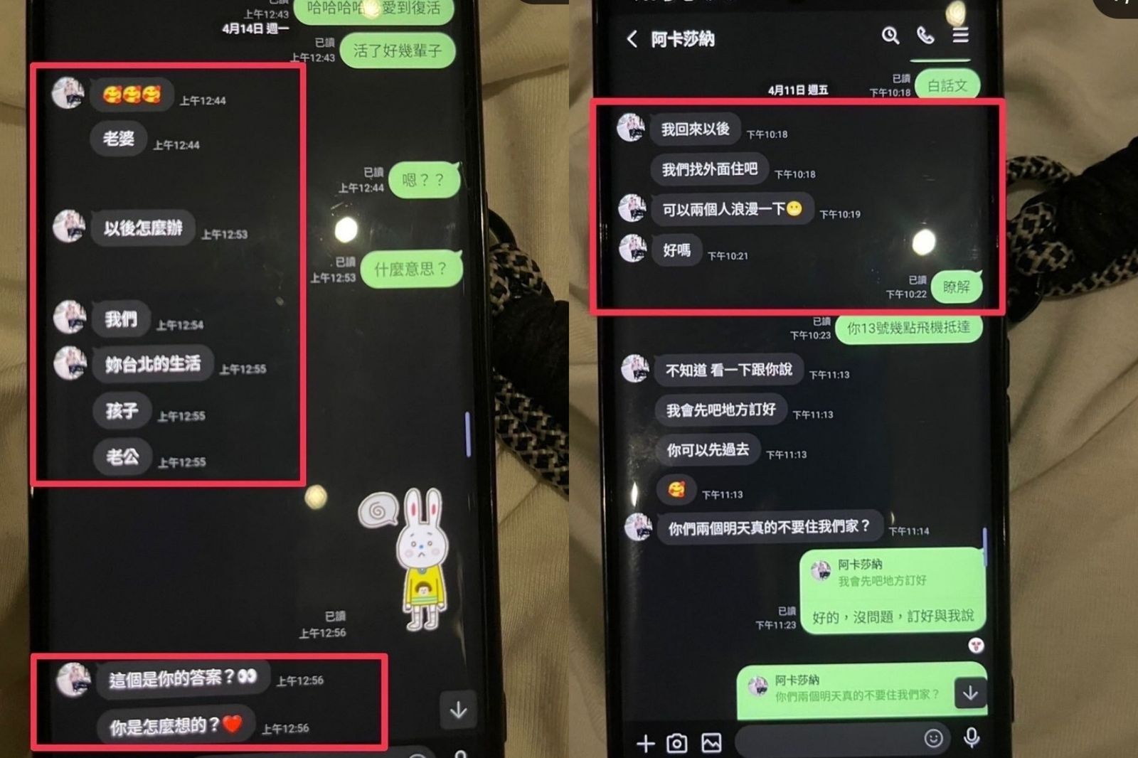 葉澤毅公開妻子劉玳妍與阿卡莎納的親密對話。翻攝葉澤毅IG