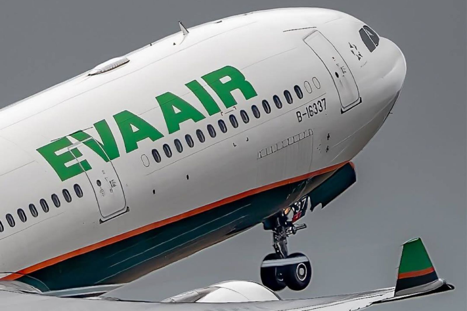 長榮空服員疑患罕病「史迪爾氏症」 醫曝常見症狀:別誤以為感冒