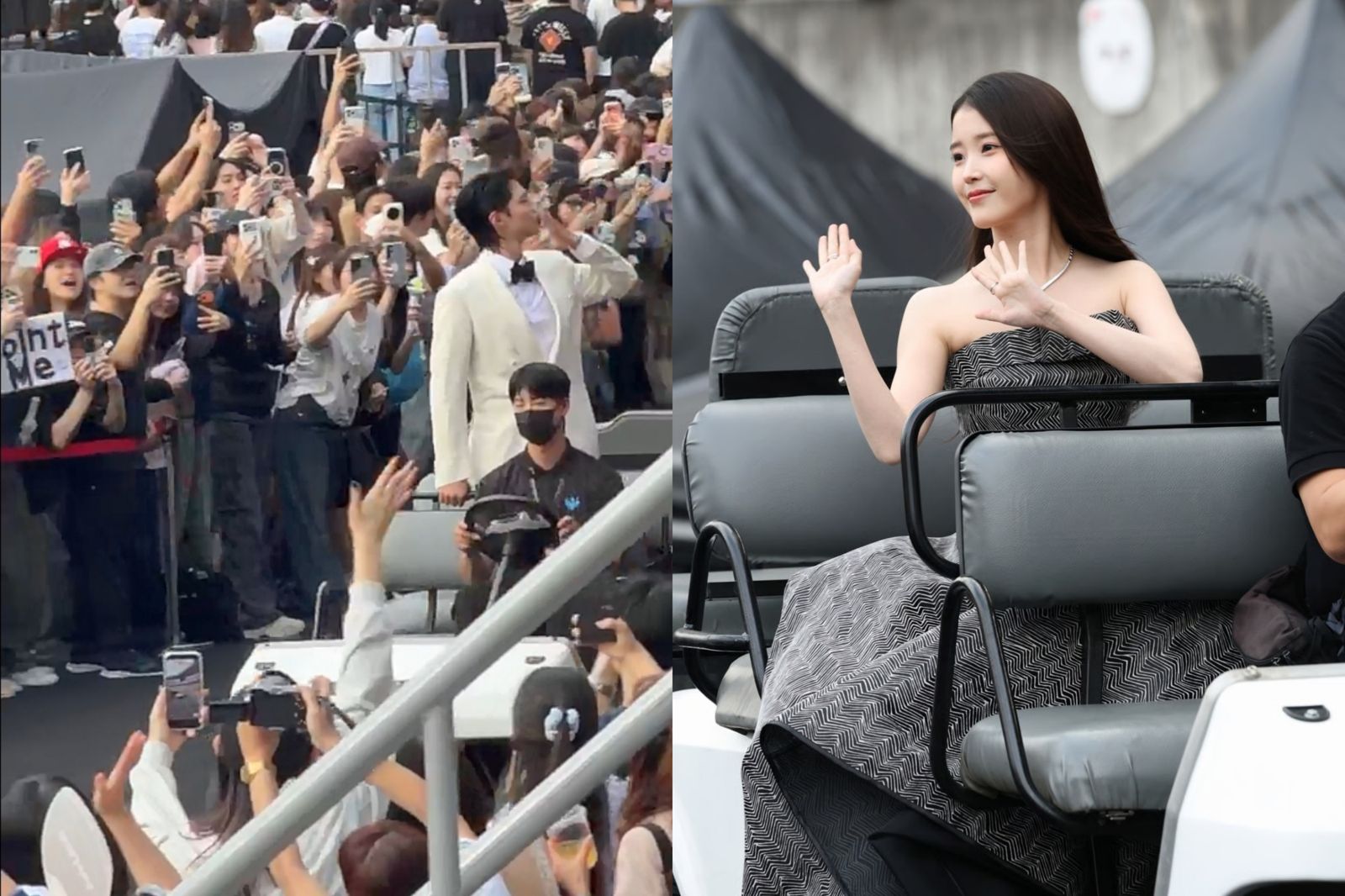 朴寶劍AAA花車繞場超暖！全場唯一站起來送飛吻　IU登場美翻了