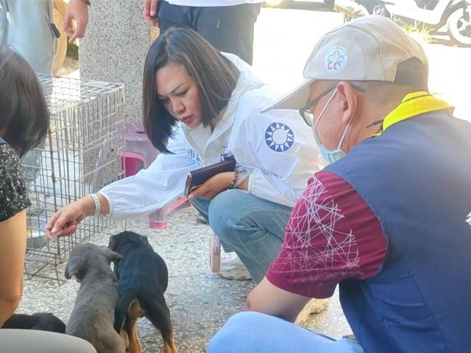 台南5幼犬斷腿拖行!議員怒控移工「殺狗吃肉」 動保處化驗結果出爐