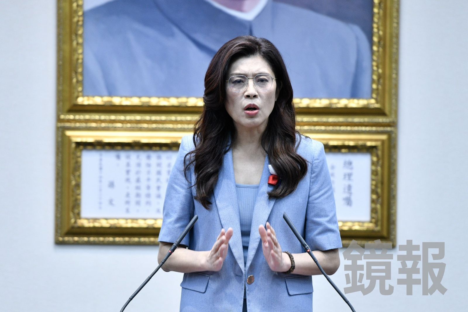 盧秀燕挺軍購規模8千億至1兆　鄭麗文喊「姊妹情深」：尊重黨團自主