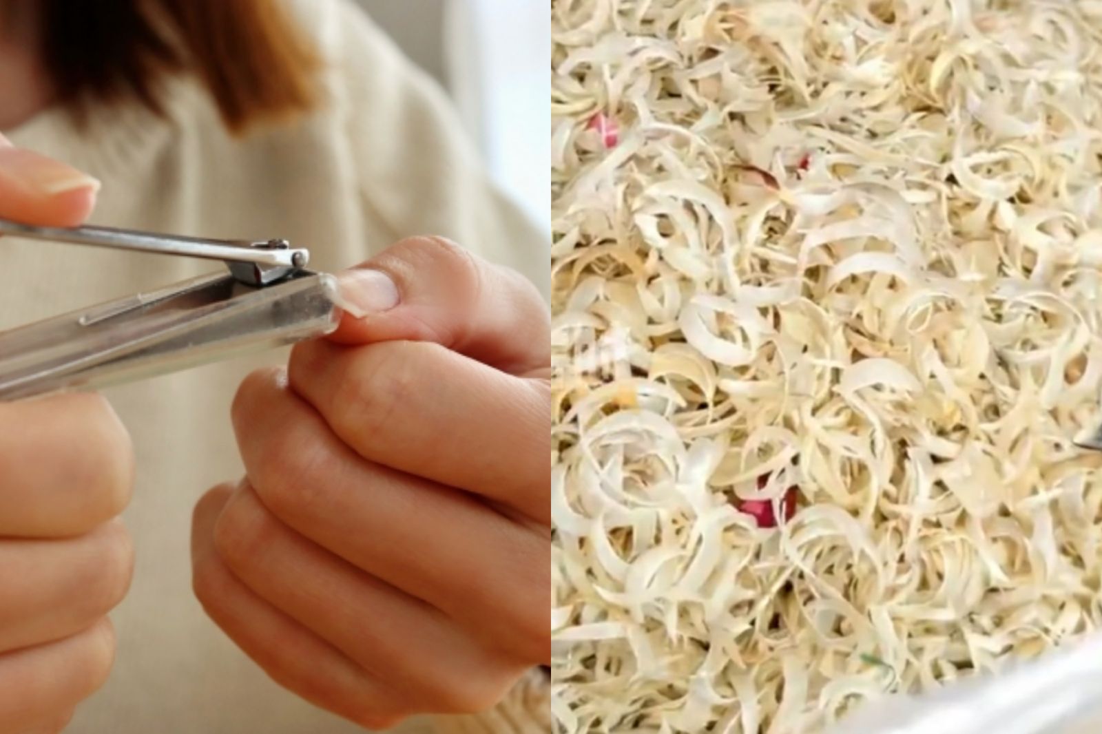 人指甲為中藥材之一！中國女1斤賣千元 　驚人功效曝
