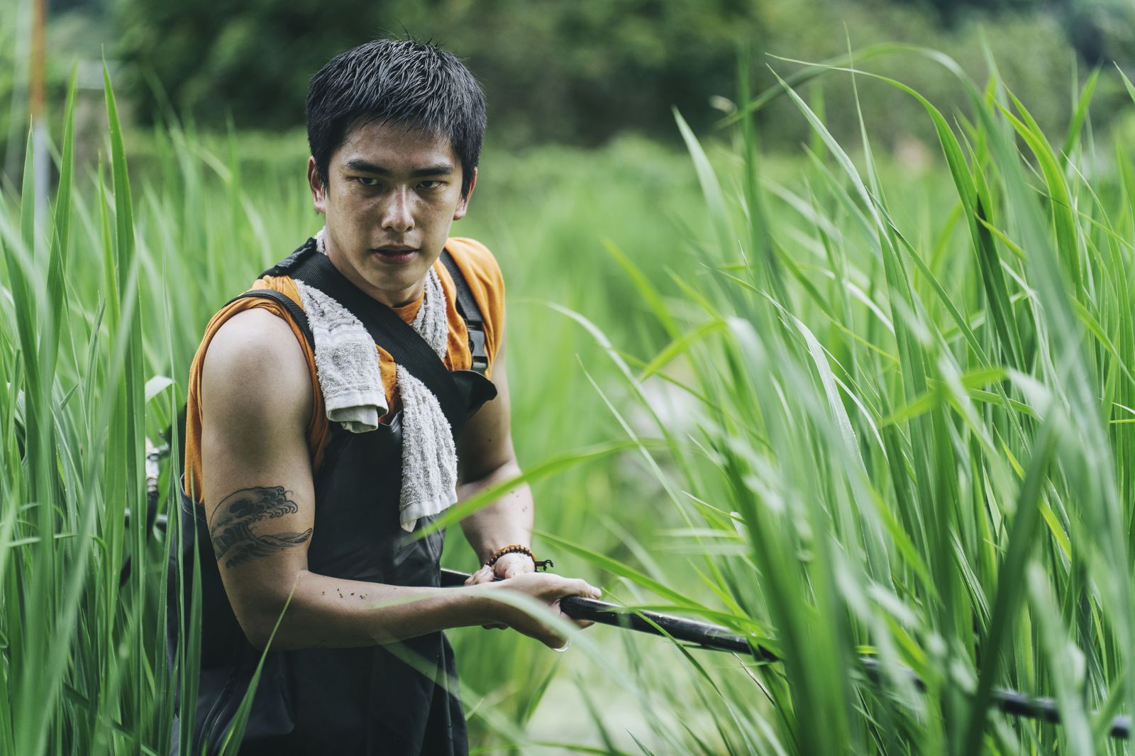 比甘蔗田還慘！曾敬驊「茭白筍田務農」雙腿陷泥濘狂被刮傷　真相曝光全網看哭「太敬業」