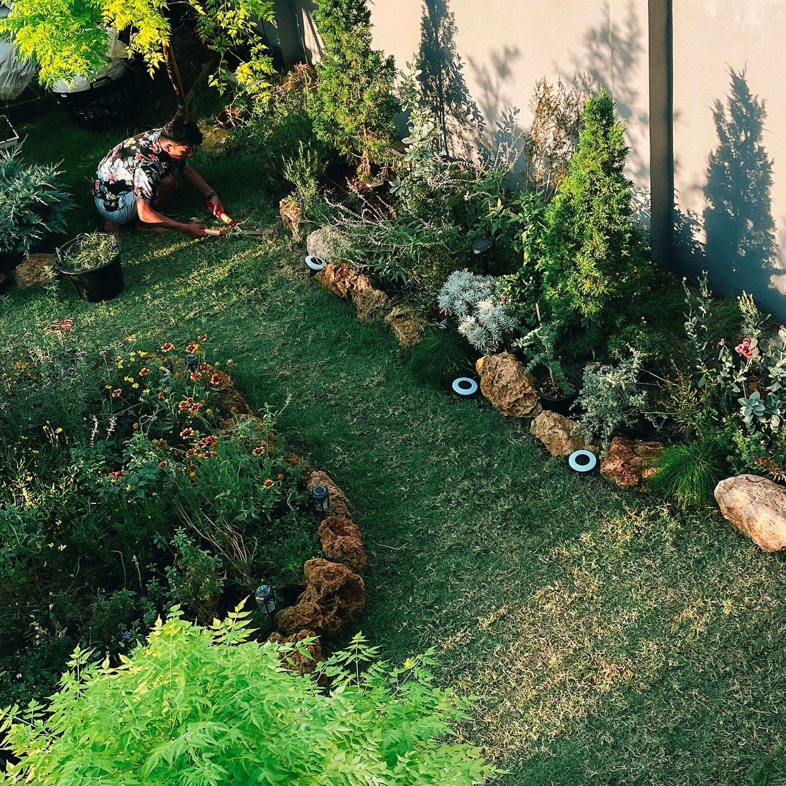 萬洛家有一個院子讓他盡情栽種自己喜愛的植物,包括樹。翻攝萬洛IG