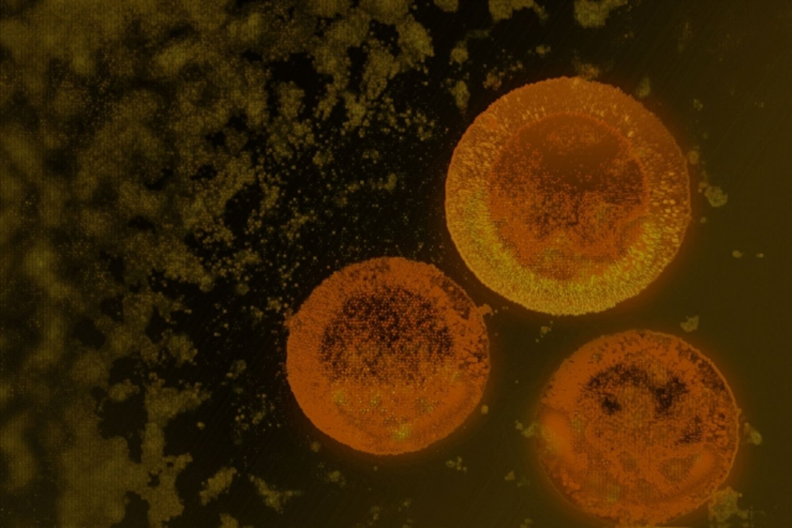 抗癌曙光？科學家發現9種「細菌」能吸收體內致癌永久化學物質