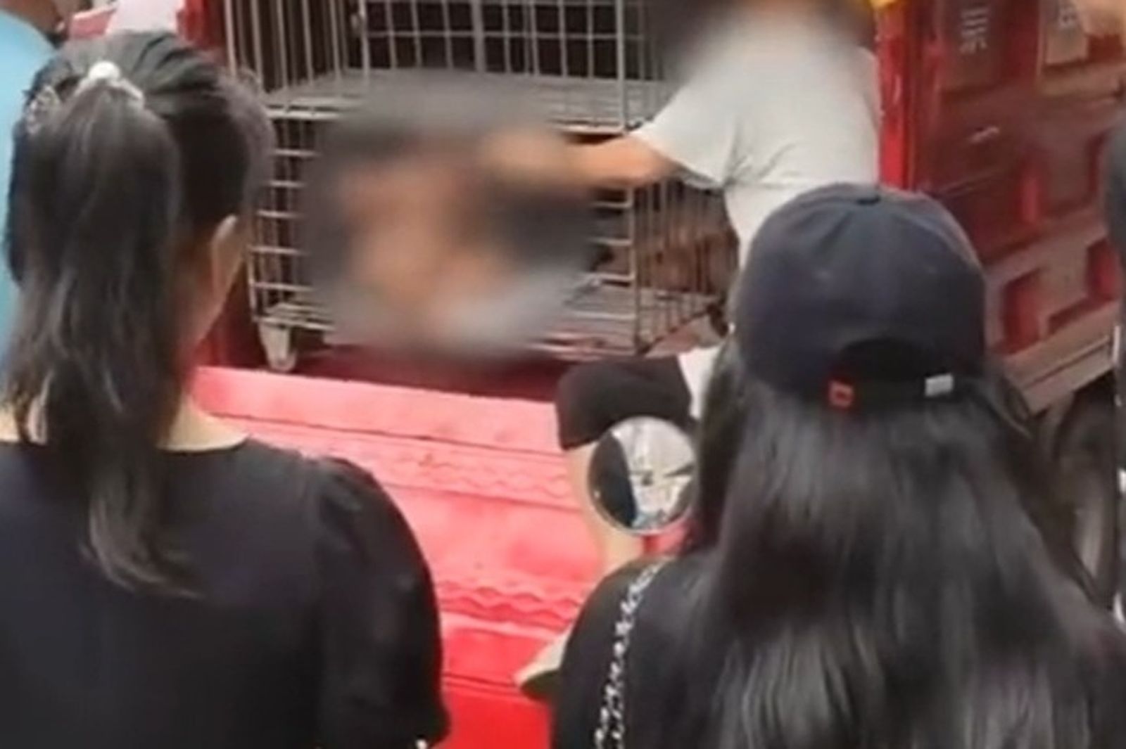 海南驚見「孩童全裸關鐵籠」！民眾疑人口販賣急報警