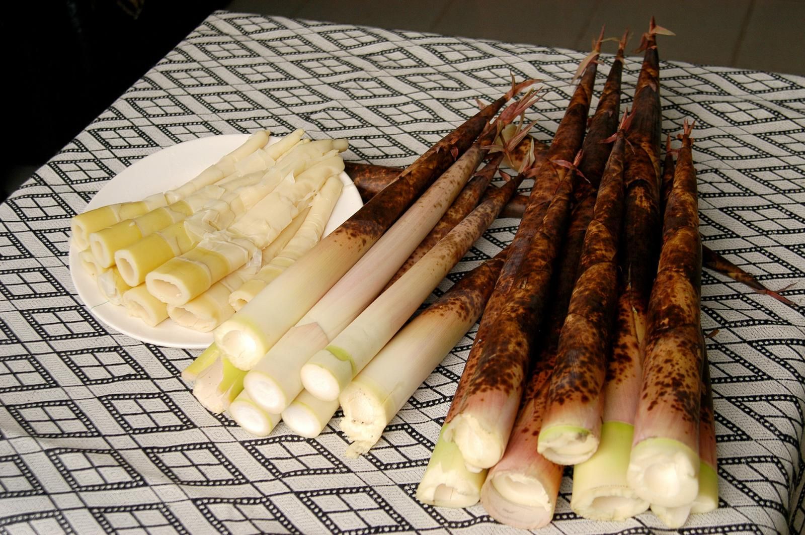 竹子生長速度極快，又嫩芽「竹筍」被發現是新興超級實物。圖／翻攝自農業部食農教育資訊整合平台