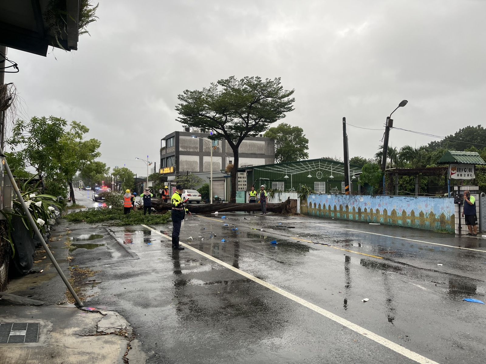 驚悚！高雄路樹強風中倒塌險砸人　小貨車閃避不及失控撞民宅