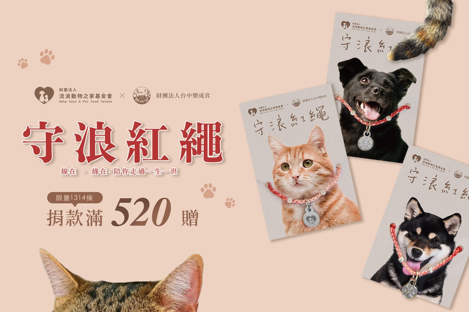 捐款滿520元,即可獲贈限量1314條的公益紅繩,支持基金會園區修繕計畫,提升照護品質 。法人流浪動物之家基金會提供