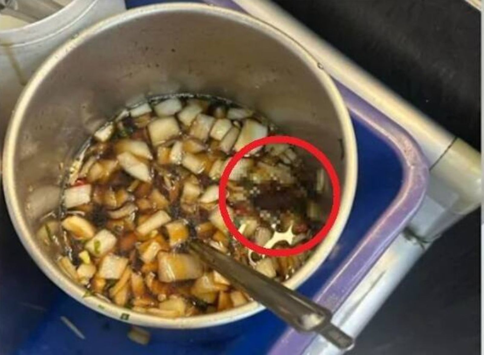 噁爆！台南牛肉湯「醬料桶」驚見整隻大蟑螂漂浮　饕客嚇傻、衛生局急查